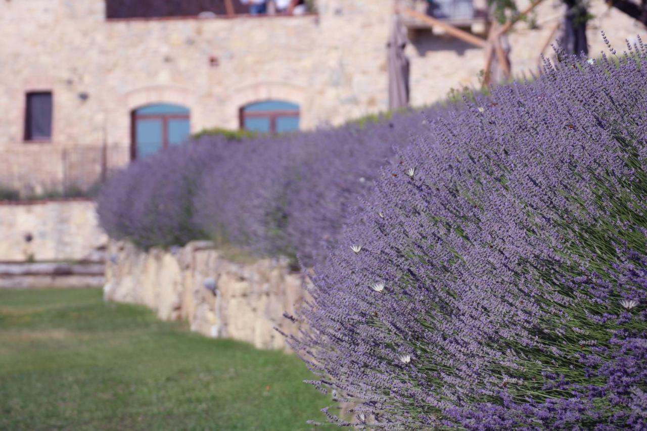 Spao Borgo San Pietro Aquaeortus Trevinano Buitenkant foto